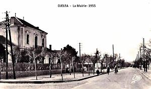 DJELFA - MAIRIE - 1955